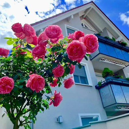 Appartement Staffelstein *
